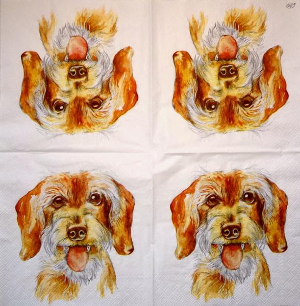 HUN-021 Dogs - 3-ply - Ihr - CS